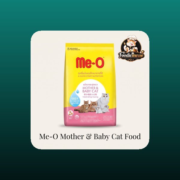 Cat Wet Food