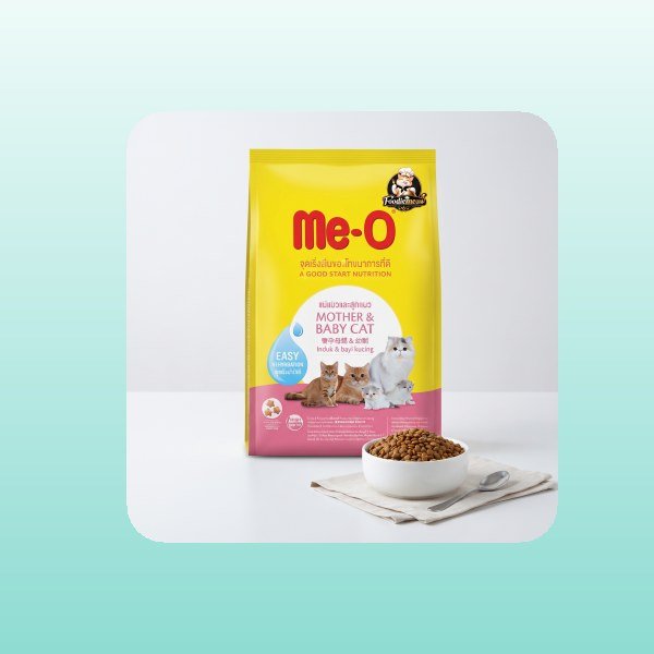 Cat Treats